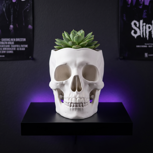 Skeleton Plant Pot